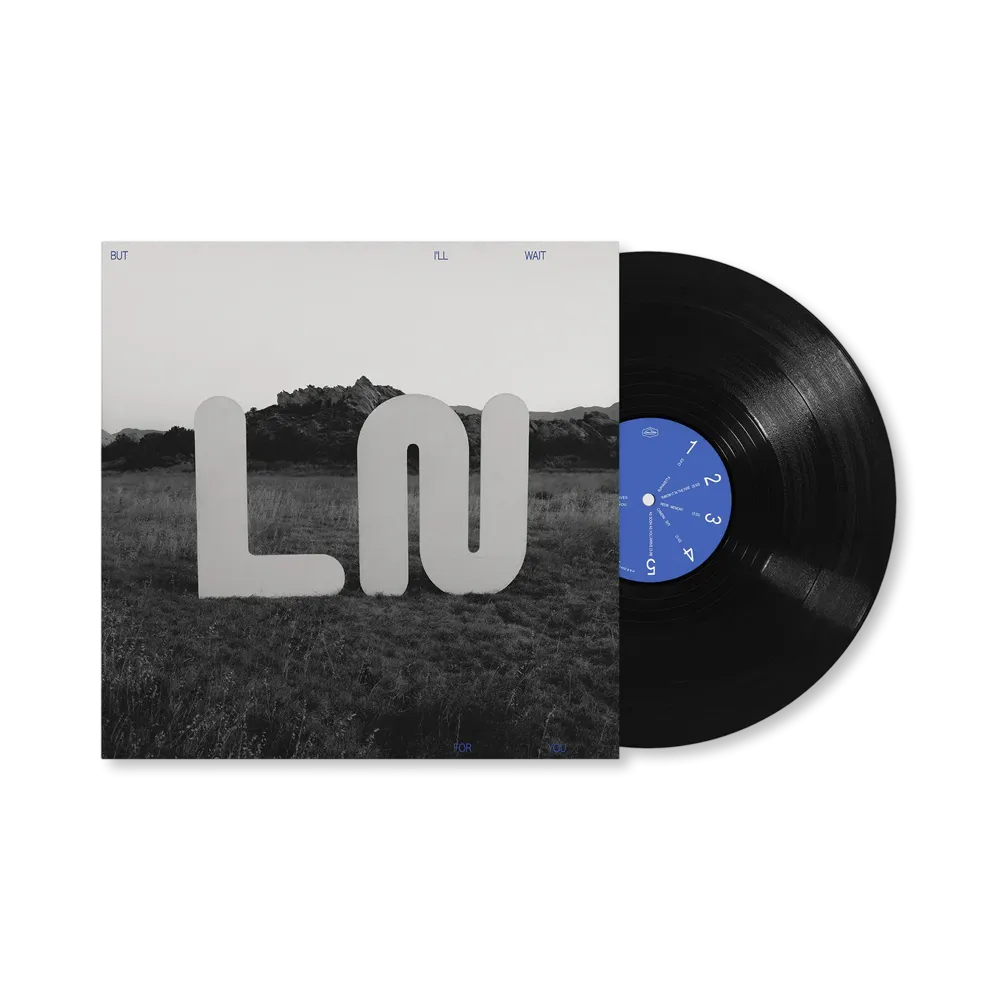 But I'll Wait For You Vinyl LP