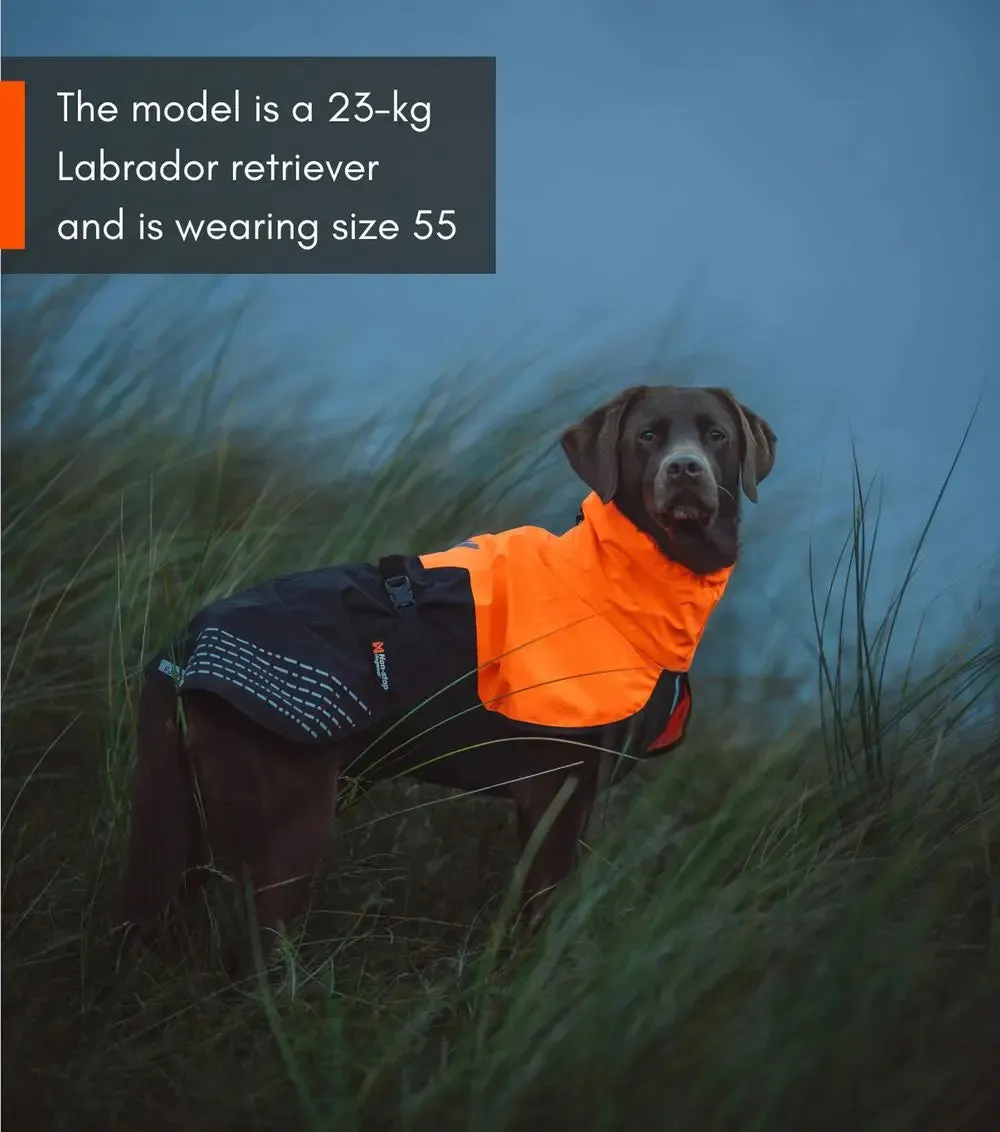 Fjord Raincoat (with Wind Protection) for Dogs