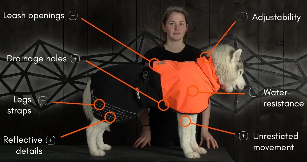 Fjord Raincoat (with Wind Protection) for Dogs