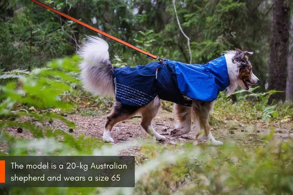 Fjord Raincoat (with Wind Protection) for Dogs
