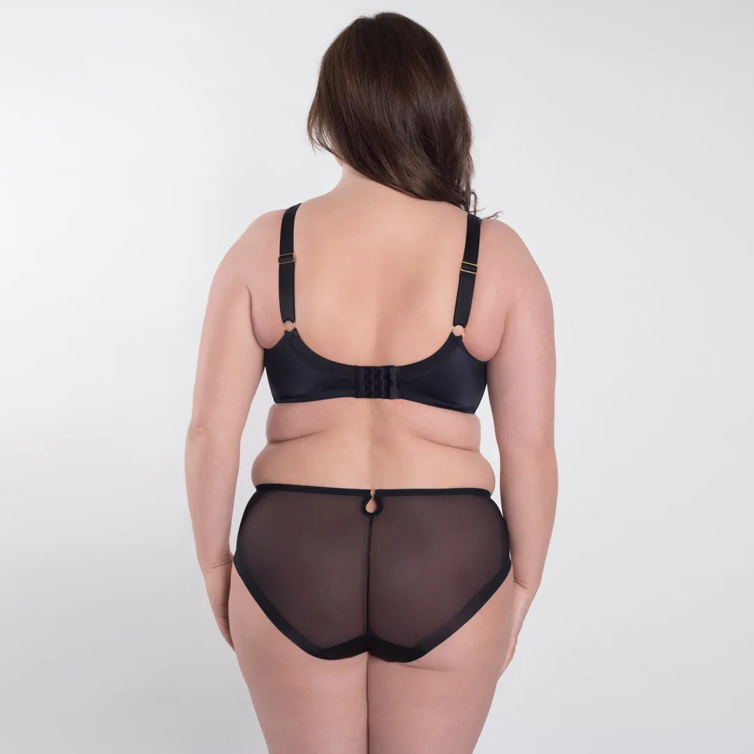 Sheer Mesh Tulle Embroidered Brief Panty Perla Black